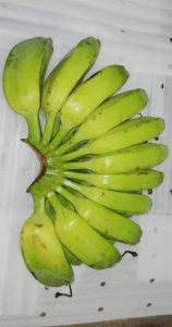 Cardava/Saba-Banana